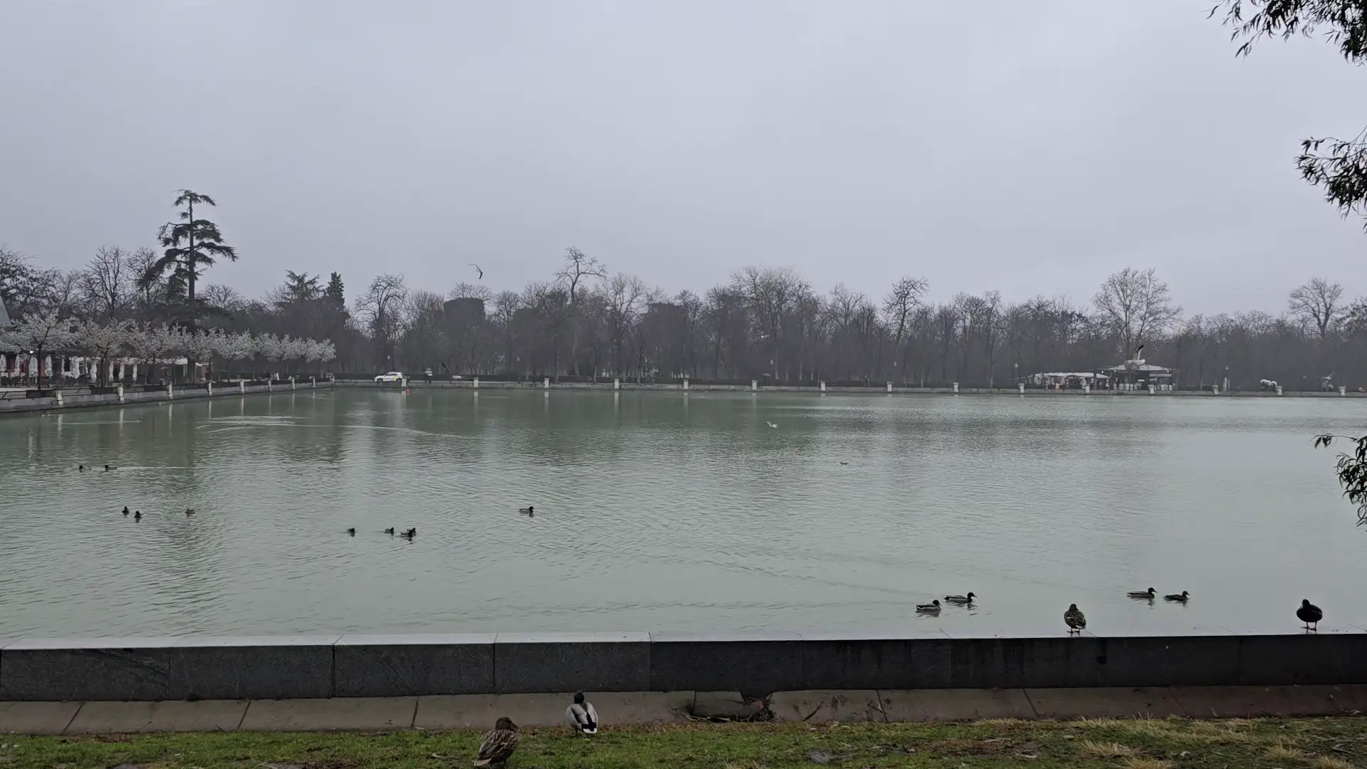 Exclusive Leak: RussianVenus11 - RAIN, DUCKS, PARK, WINTER IN SPAIN - Stream in FullHD | Hotleakxxx.com