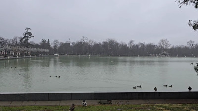 RussianVenus11 - RAIN, DUCKS, PARK, WINTER IN SPAIN