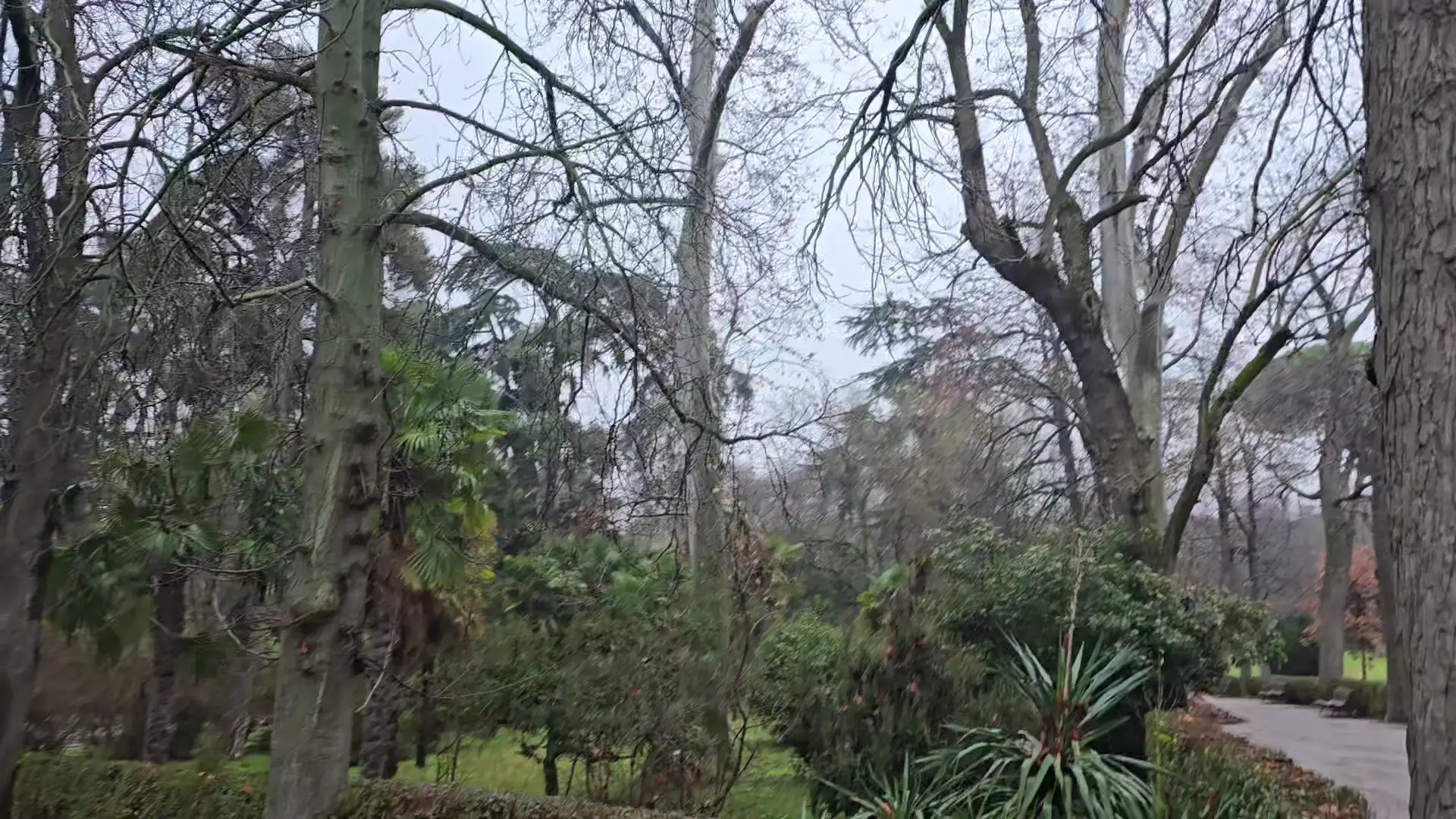 Exclusive Leak: RussianVenus11 - RAINY DAY IN SPAIN, WINTER PARK WALKING - Stream in FullHD | Hotleakxxx.com