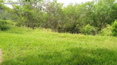 VeronicaReyes - Hiking in the mountains