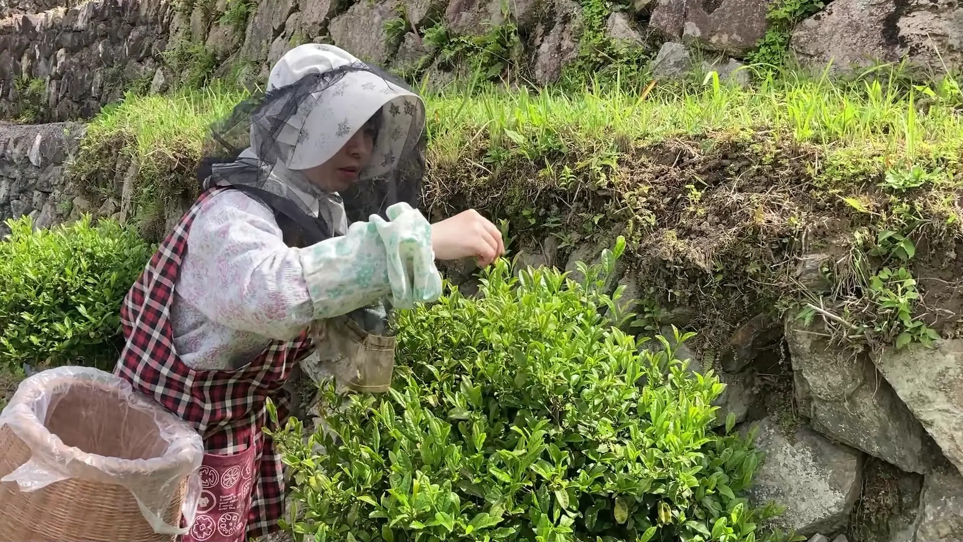 Exclusive Leak: makogirl - mako Making Japanese tea - Stream in FullHD | Hotleakxxx.com