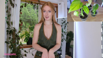 Destinationkat - Gardening With Kat- Repotting Monsteras SFW