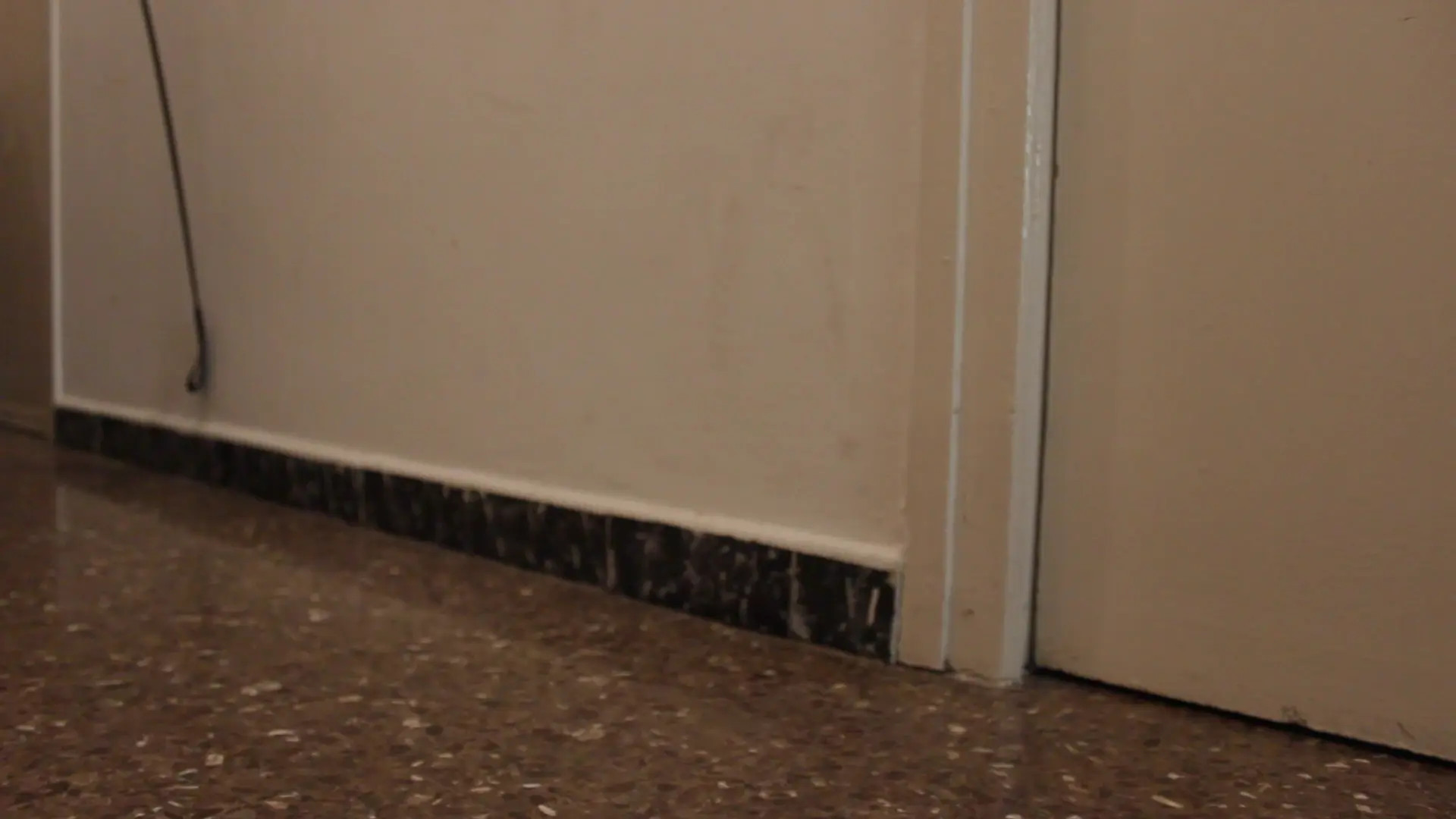 Exclusive Leak: SophiaLolaXprod - The French Milf By Cris Angelo - Stream in FullHD | Hotleakxxx.com