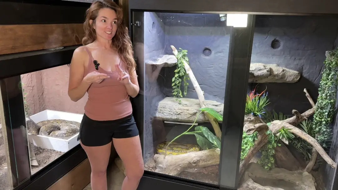 Exclusive Leak: therealemily34 - Exotic jungle - Stream in FullHD | Hotleakxxx.com